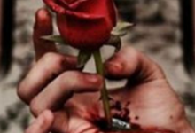 轻信“男朋友”投资渠道 女子收到了“带刺的玫瑰”