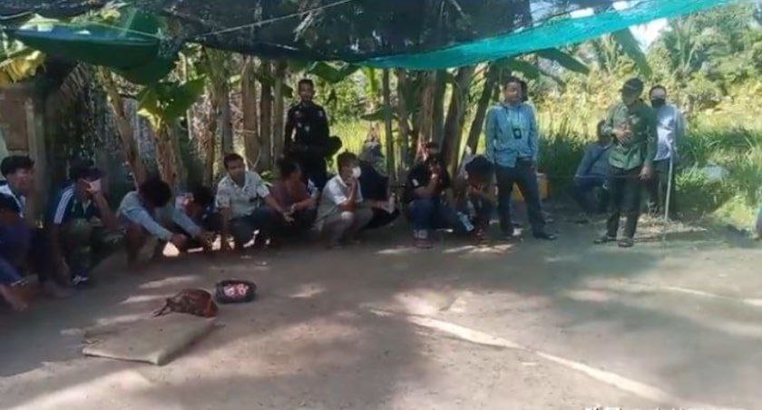 涉嫌斗鸡，柬埔寨13人被抓