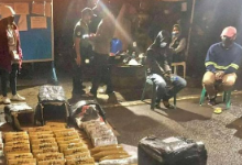 菲律宾卡林嘎省两名游客涉运送1300万披索大麻砖被捕