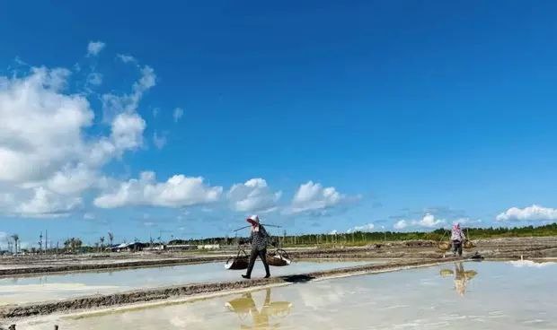 柬埔寨白马省盐产量大增