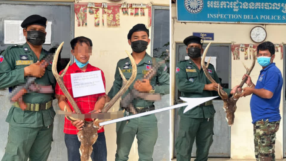 真“刑”！柬埔寨男子翻墙动物园，杀死一头鹿！