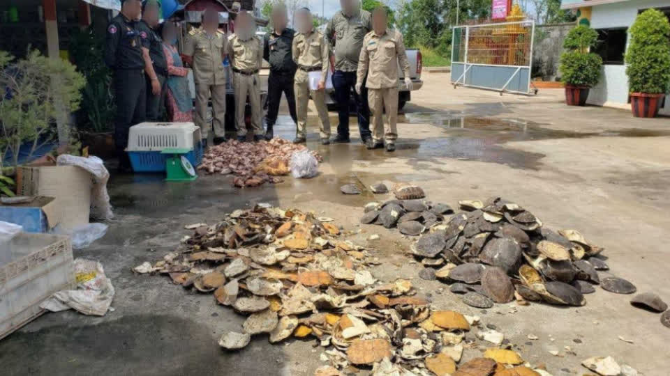 柬埔寨警方查获100多公斤野生动物肉！