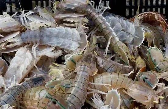 关于进口柬埔寨食用水生动物检疫和卫生要求的公告